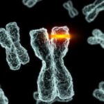 DNA mutations affect the aging of the body