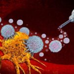 Вчені знайшли спосіб навчити імунітет боротися з раком