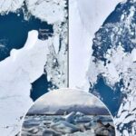 The glaciers of East Antarctica are disappearing from the face of the Earth. What does it threaten?