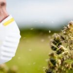 Причини виникнення весняної алергії та способи її лікування