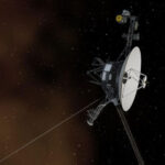 How will the Voyager probes help people gain immortality?