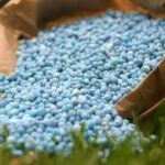 Why is fertilizer so important to the world?