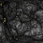Dark matter - the key to the theory of gravity?