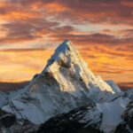 What animals live on Everest - the highest point on Earth