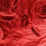 У людей із тривалим ковідом виявлено аномалії крові