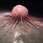 Лікування раку мРНК вакцинами допоможе при агресивних формах онкології.