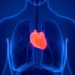7 rules of life that will save you from heart problems