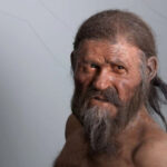 Ötzi's ice mummy: what became known 30 years after its discovery