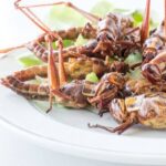 Γιατί είναι καλό να τρώμε έντομα;