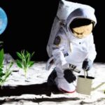 In 2025, will humanity start growing plants on the moon?