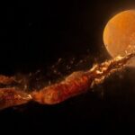 The moon arose a few hours after the cosmic catastrophe