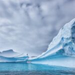 Phytoplankton discovered under the ice of Antarctica - is nature itself struggling with climate warming?
