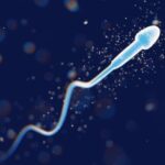In 2050, men may lose the ability to conceive children