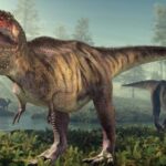 Tyrannosaurus Rex was 70% bigger than previously thought