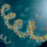 How fragments of ancient viruses in the human genome affect the body