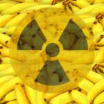 Is it true that bananas are radioactive and dangerous to health?