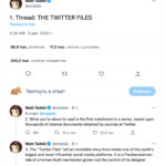 American censorship machine in social networks on the example of Twitter