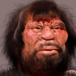 How the Denisovans protected the Papuans from diseases