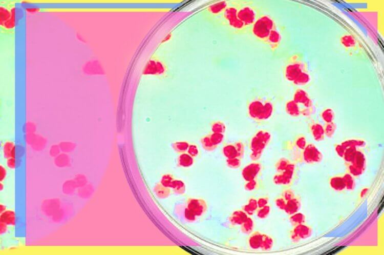 Бактерије отпорне на антибиотике могу мигрирати кроз тело