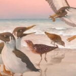 Птахи еволюціонували раніше, ніж припускали вчені