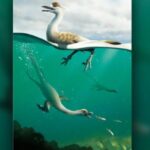 Could land dinosaurs swim?