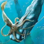 Similarities found between squid and human brains