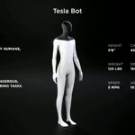 Tesla Optimus humanoid robot is an example of another PR project