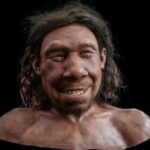 Why did Neanderthals collect "collections" of animal skulls?