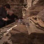 In Egypt, found a tomb with mummies of crocodiles