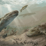 Ancient animals suffered from cancer over 200 million years ago