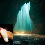 Добірка фотографій дивовижних тварин, які мешкають у темних печерах