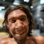 Evolution helped Neanderthals not smell their body