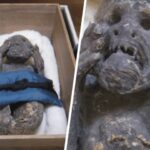 Вчені розгадали секрет муміфікованої русалки з Японії