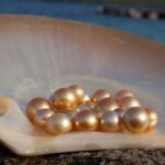 The most expensive pearl in the world - how it is formed and who extracts it from the water
