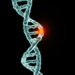 مجموعة مختارة من الطفرات الجينية التي يمكن أن تجعل الشخص "سوبرمان"