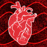 На сприйняття часу впливає частота серцевих скорочень