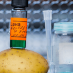 Scientists have found a way to detect irradiated potatoes using a smartphone