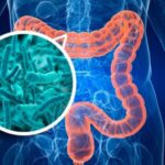Gut bacteria increase the effectiveness of chemotherapy