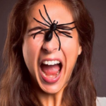 Scientists explain why people shouldn't be afraid of spiders