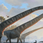 Dinosaur with a 15-meter neck lived in China