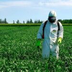 How do farmers deal with pests and what is the best way?