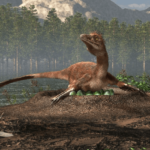 Some dinosaurs hatched eggs like birds 74 million years ago