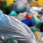 Fungi found that can recycle plastic in less than six months