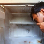Why the refrigerator smells bad and what to do about it