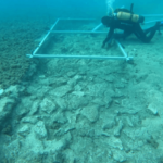A 7,000-year-old settlement and road discovered at the bottom of the Mediterranean Sea