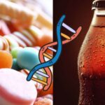 These products contain a sweetener that destroys DNA and the human gut.