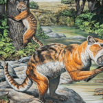 A mixture of a cat, an otter and a bear - scientists have discovered the fossils of a very strange animal