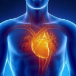 Яким буває рак серця – смертельна хвороба, про яку майже ніхто не говорить