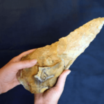 300 000 år gamle økser oppdaget i England brukt i slakting