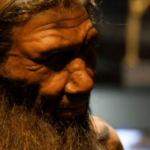 What language did the Neanderthals speak - now there is an answer